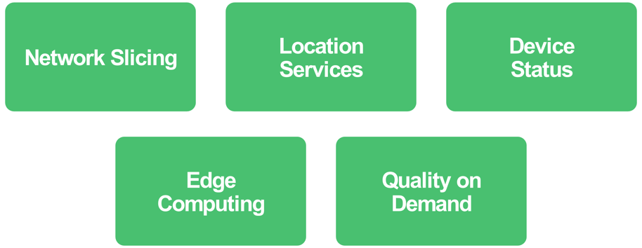 Figure 2 - NaaS Capabilities