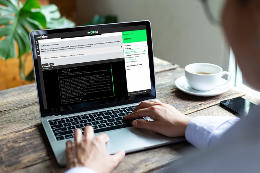 NetXLabs on a laptop with a user interacting with the consol