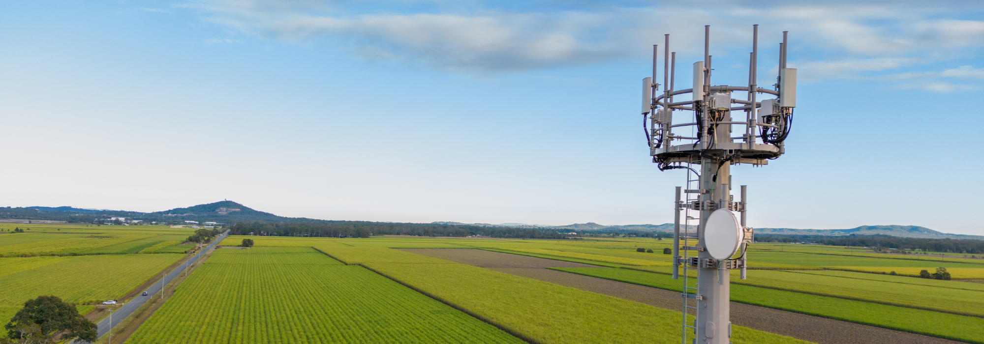 Header landing page Signal Drop Magazine 2025