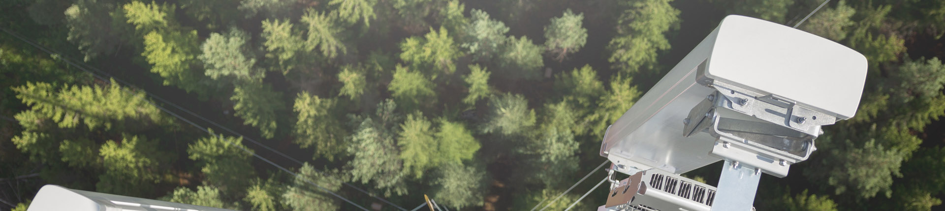 FAQs header