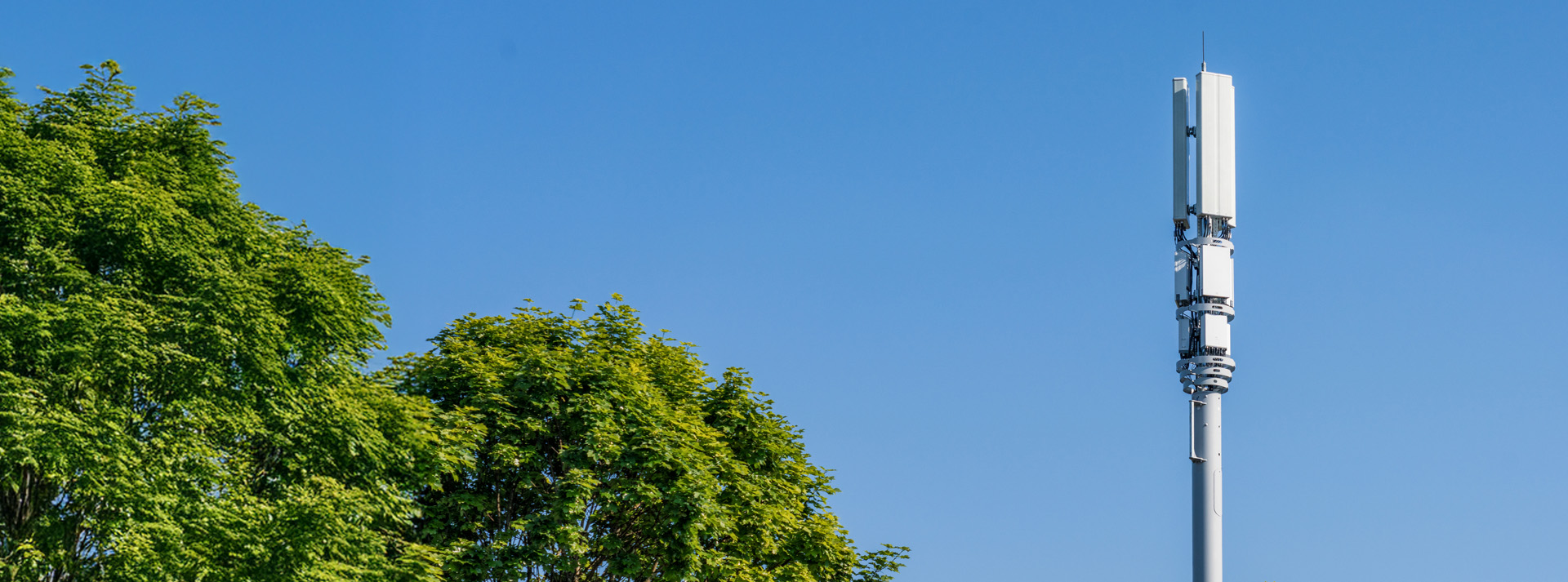 Customisation Options header image, telecoms antenna at height